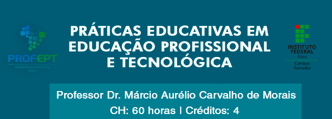 PRÁTICAS EDUCATIVAS EM EDUCAÇÃO PROFISSIONAL E TECNOLÓGICA (2021)