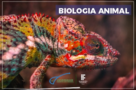 Biologia Animal