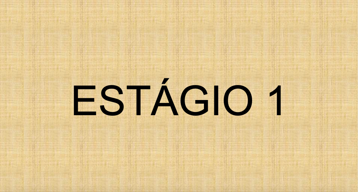 ESTÁGIO I – TERESINA