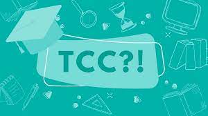 TRABALHO DE CONCLUSÃO DE CURSO – TCC -