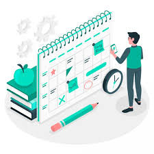 Cronograma Módulo II