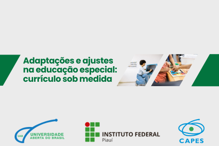 Adaptações e ajustes na educação especial: currículo sob medida-MODELO